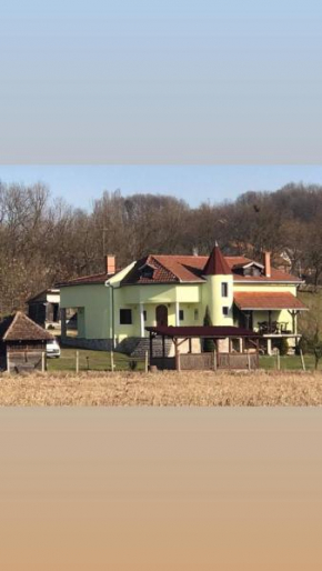 Vila Rodjak sa sela